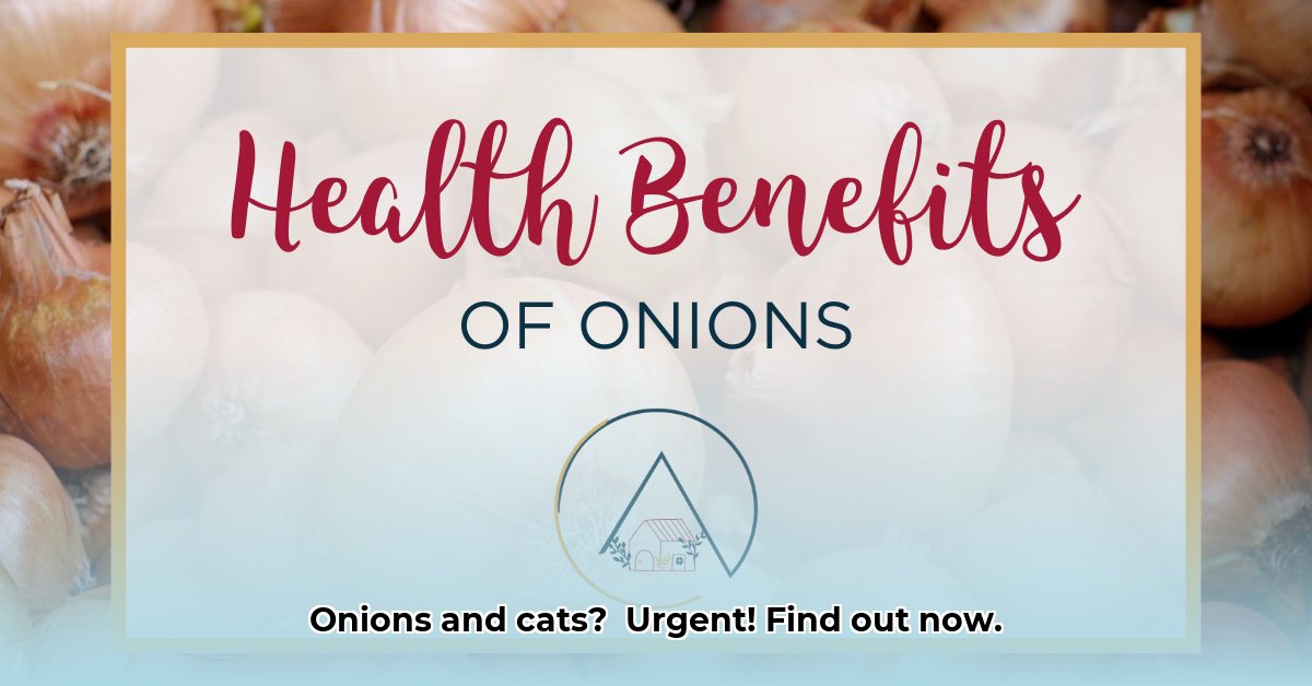 are-onions-toxic-to-cats